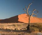 Έρημο Namib, Ναμίμπια